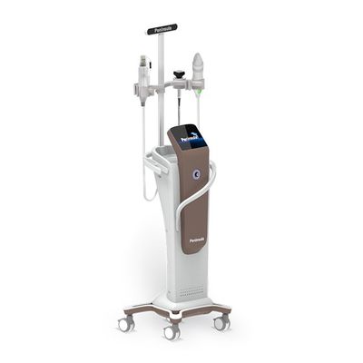 Peninsula Fractional RF Micro Needle Skin Care System 240V