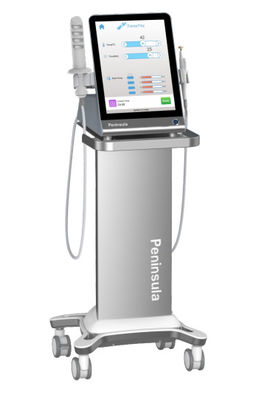 kwaliteit  Peninsula Factory Non Surgical Therapy Vaginal Rejuvenation Radio Frequency For Clinical fabriek